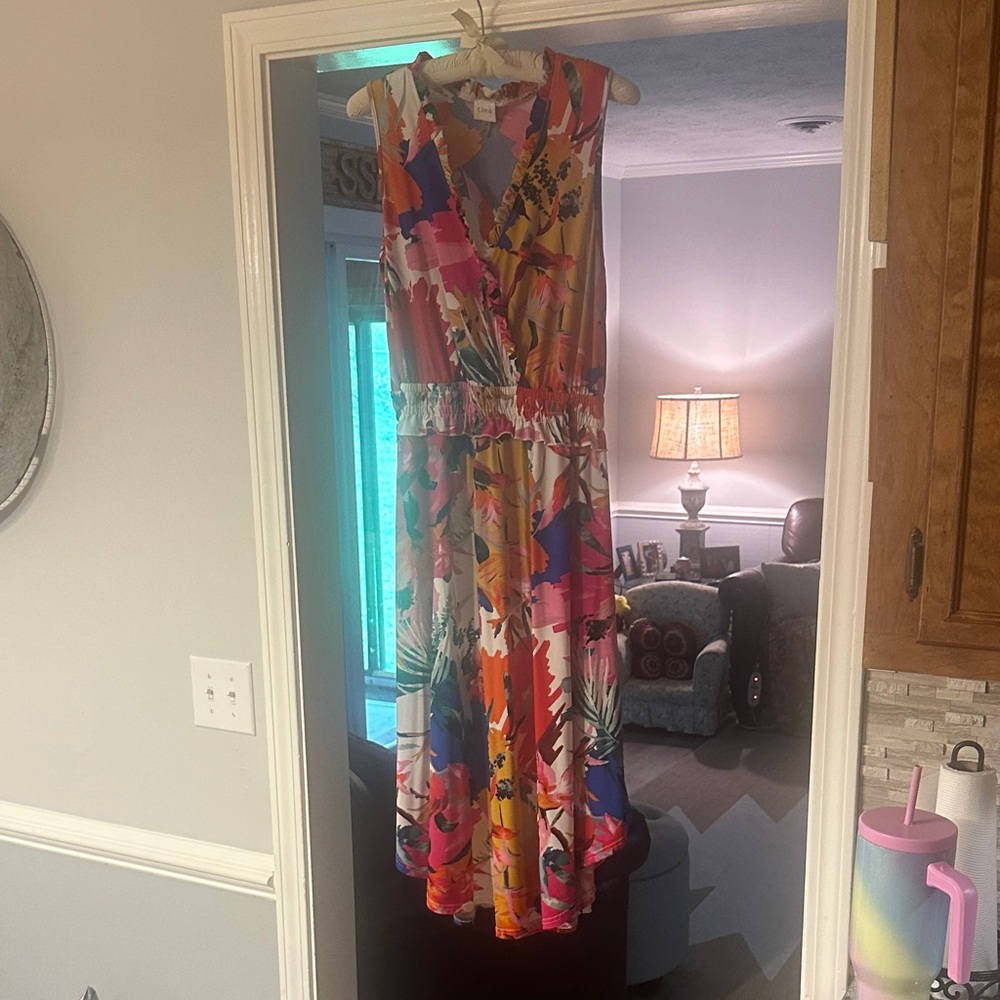 Cupio Multicolor Floral Dress